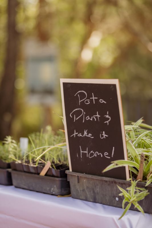 Seedling Planter Workshop