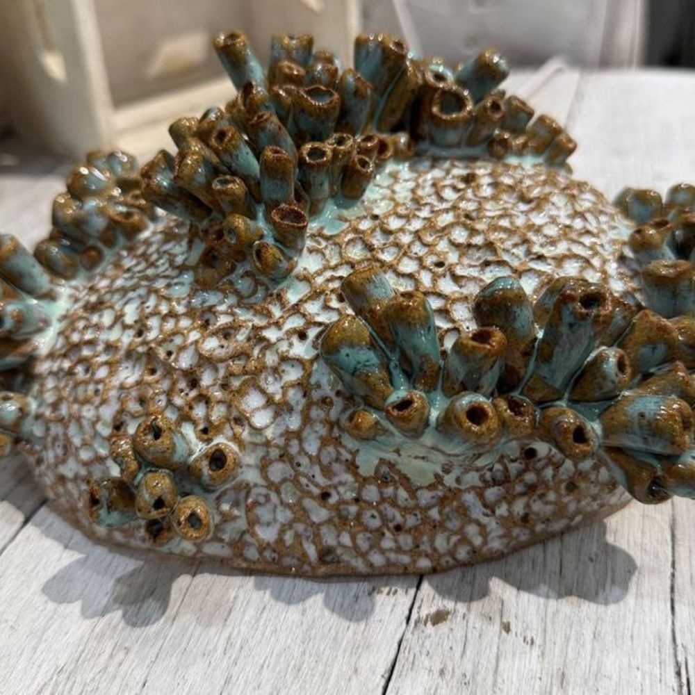 Sarah Roth | Song of the Living Coral