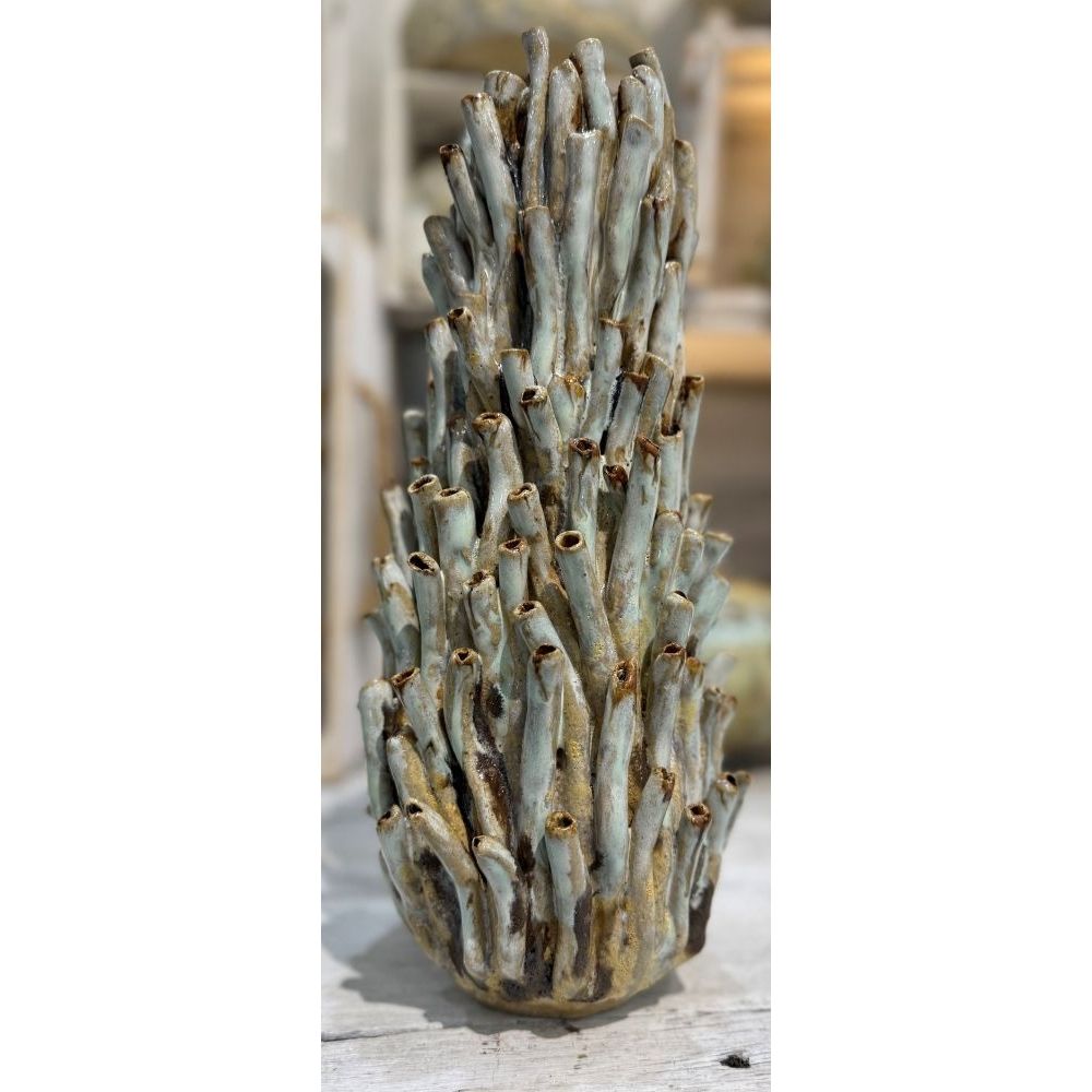 Sarah Roth | Light of the Reef