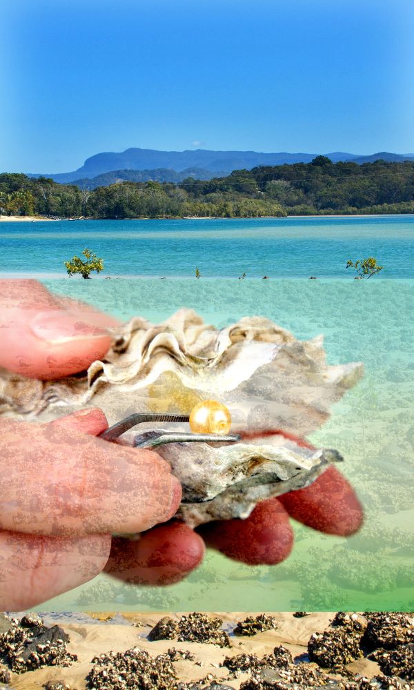 Altered Tides: The Gold Coast Is Your Oyster