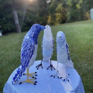 Wendy Tanner | My Fine Feathered Friends