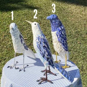 Wendy Tanner | My Fine Feathered Friends