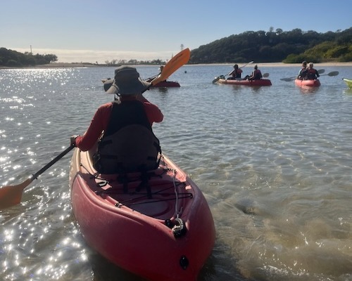 Call to the Creek – Soundscape Kayak Experience