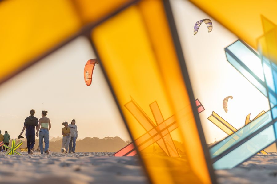 SWELL Sculpture Festival 2025