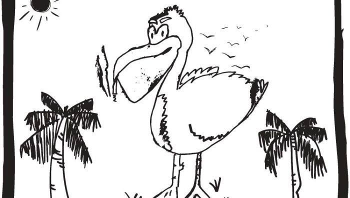 Final Pelican_1