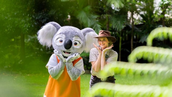 Nutsy the Koala