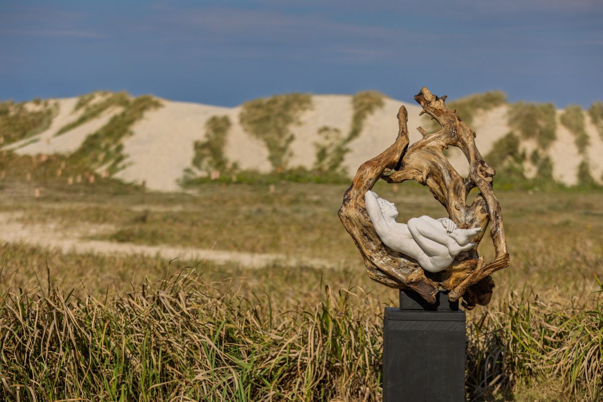 SWELL Sculpture Festival_Claudia Hickel_Daydream_Leximagery_LEXI6256