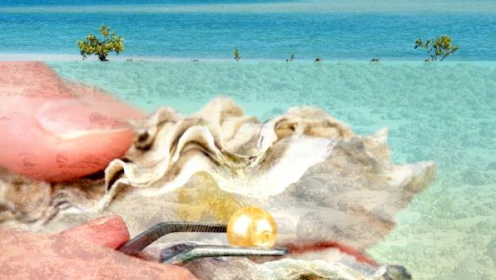 The GC is Your Oyster VF