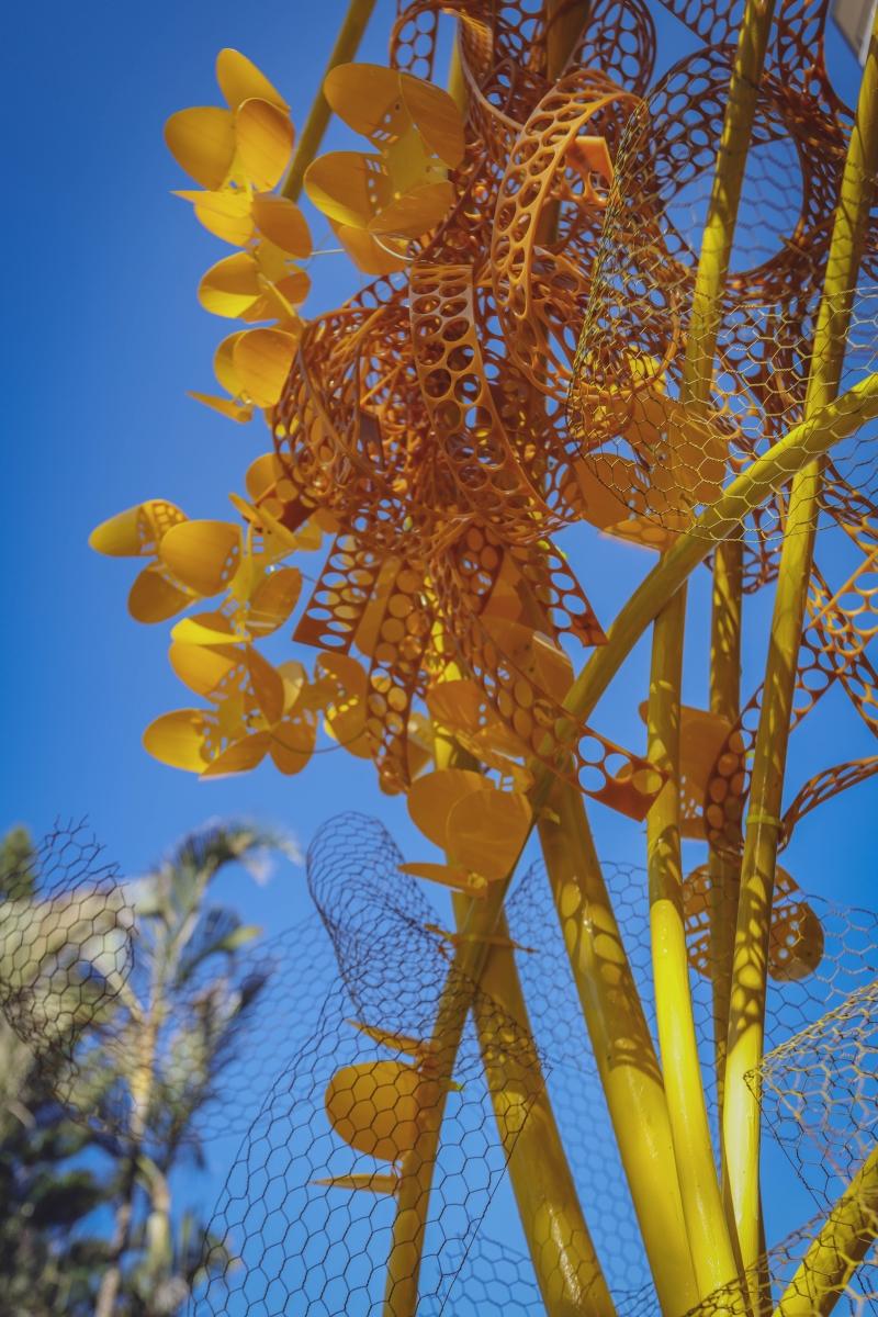 parthenopi_sugarbag_Leximagery_LEXI0655