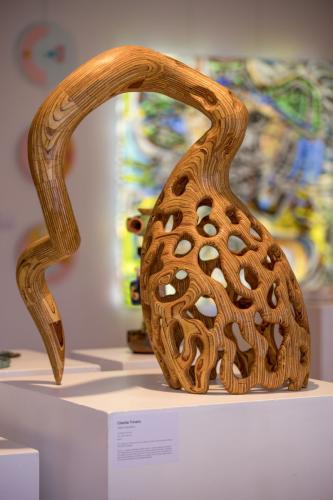 Charlie Trivers | Tafoni Haustoria | Image by Leximagery