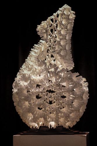 Suzy Syme & Andrew Costa | Reef Requiem | Image by Leximagery